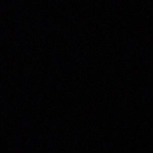 Meet your Posher, Tamera